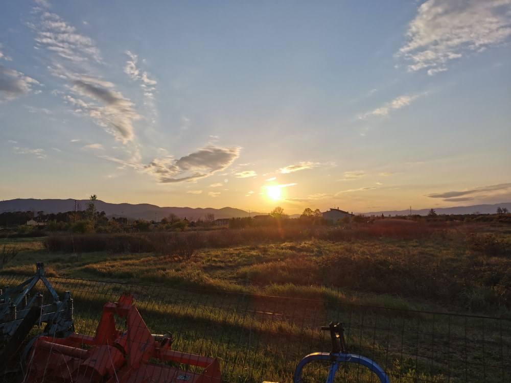 Tramonto fattoria dioguardi